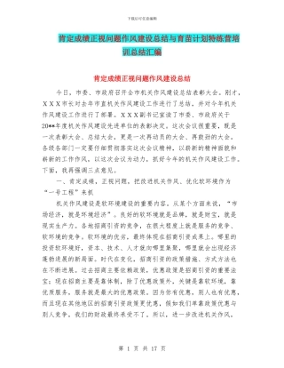 肯定成绩正视问题作风建设总结与育苗计划特练营培训总结汇编