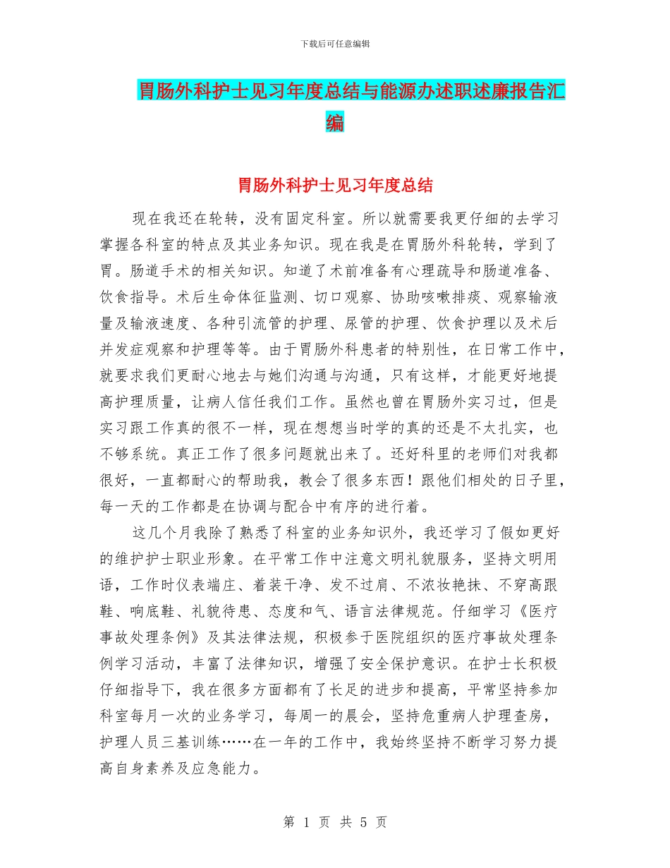 胃肠外科护士见习年度总结与能源办述职述廉报告汇编_第1页
