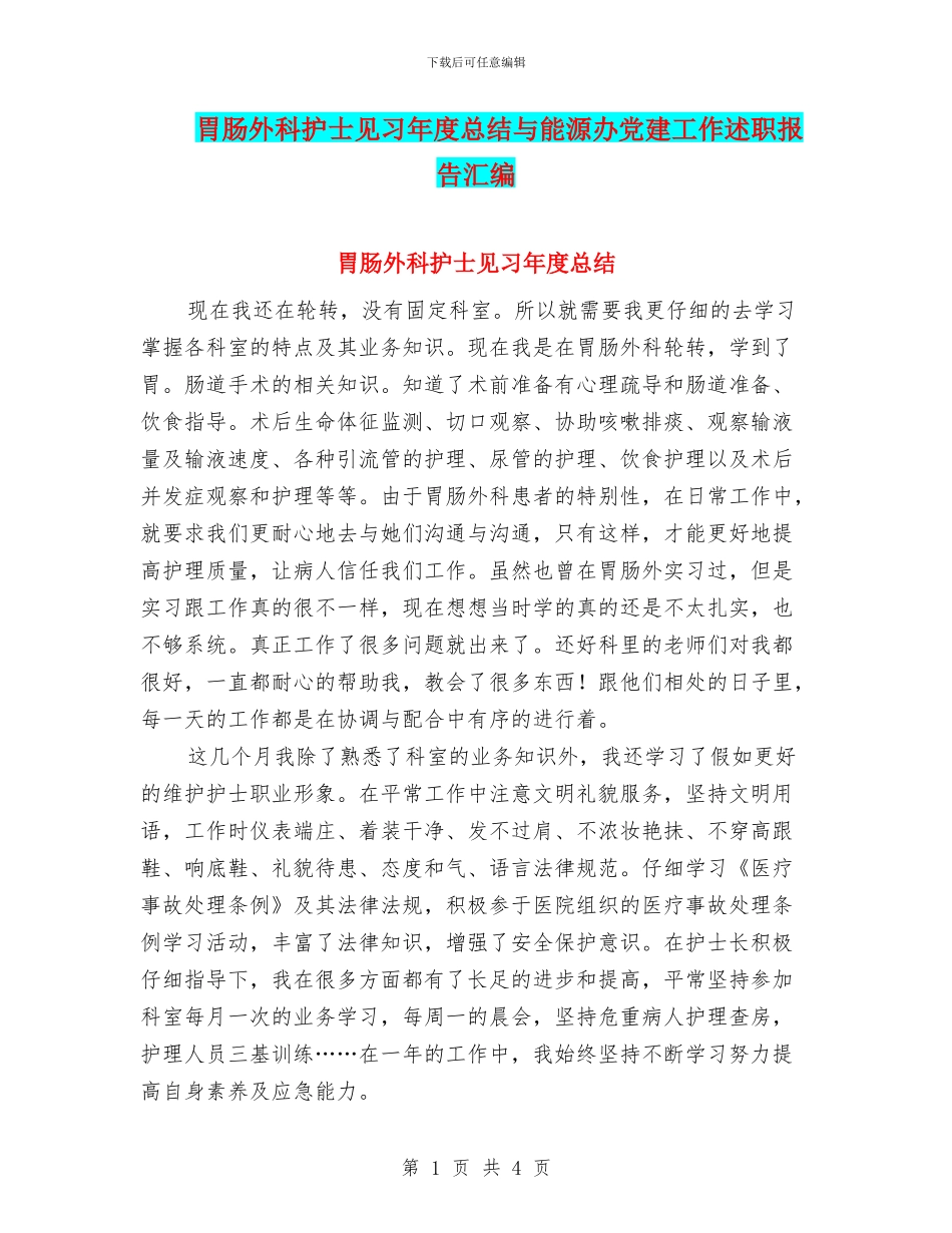胃肠外科护士见习年度总结与能源办党建工作述职报告汇编_第1页