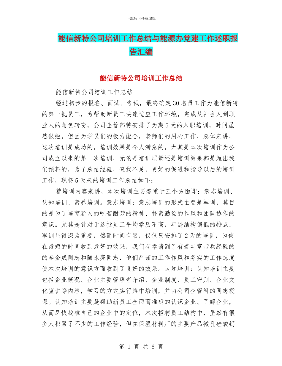 能信新特公司培训工作总结与能源办党建工作述职报告汇编_第1页
