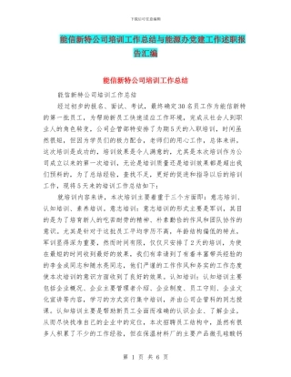 能信新特公司培训工作总结与能源办党建工作述职报告汇编