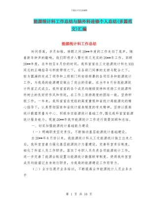 能源统计科工作总结与脑外科进修个人总结汇编