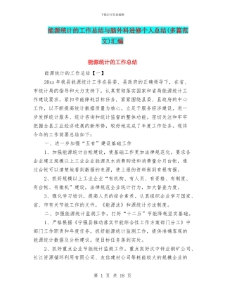 能源统计的工作总结与脑外科进修个人总结汇编