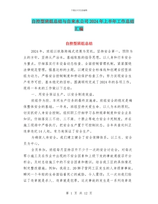 自控型班组总结与自来水公司2024年上半年工作总结汇编