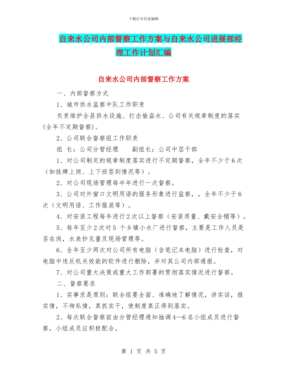 自来水公司内部督察工作方案与自来水公司发展部经理工作计划汇编_第1页