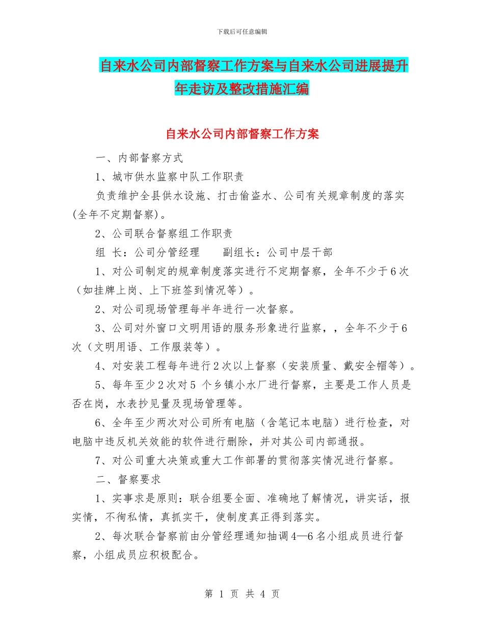 自来水公司内部督察工作方案与自来水公司发展提升年走访及整改措施汇编_第1页