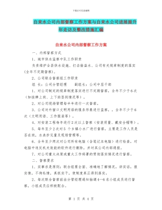 自来水公司内部督察工作方案与自来水公司发展提升年走访及整改措施汇编