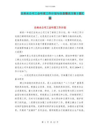 自来水公司工会年度工作计划与自查整改方案3篇汇编