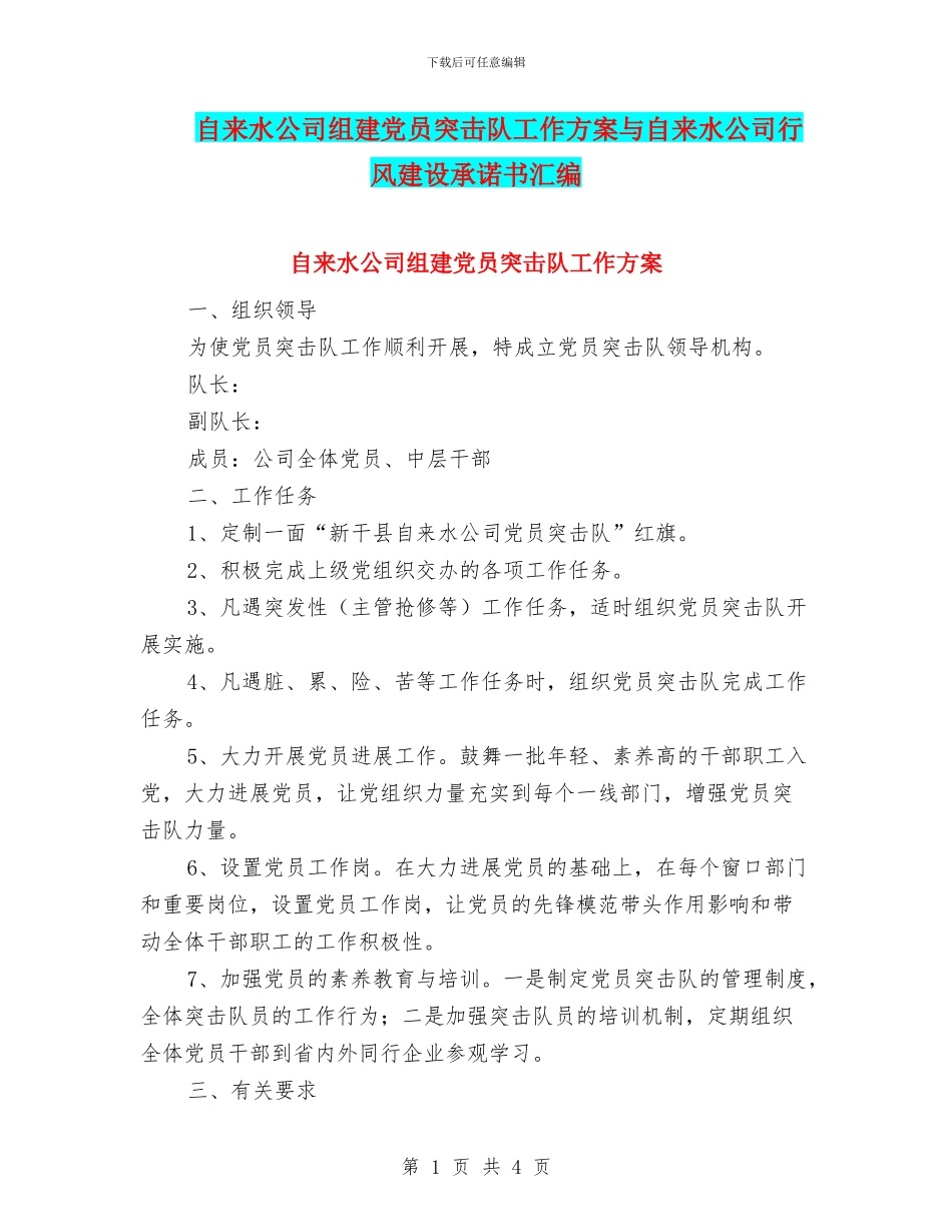 自来水公司组建党员突击队工作方案与自来水公司行风建设承诺书汇编_第1页