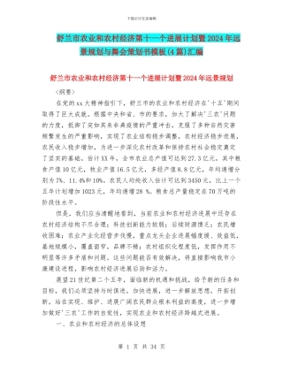 舒兰市农业和农村经济第十一个发展计划暨2024年远景规划与舞会策划书模板汇编