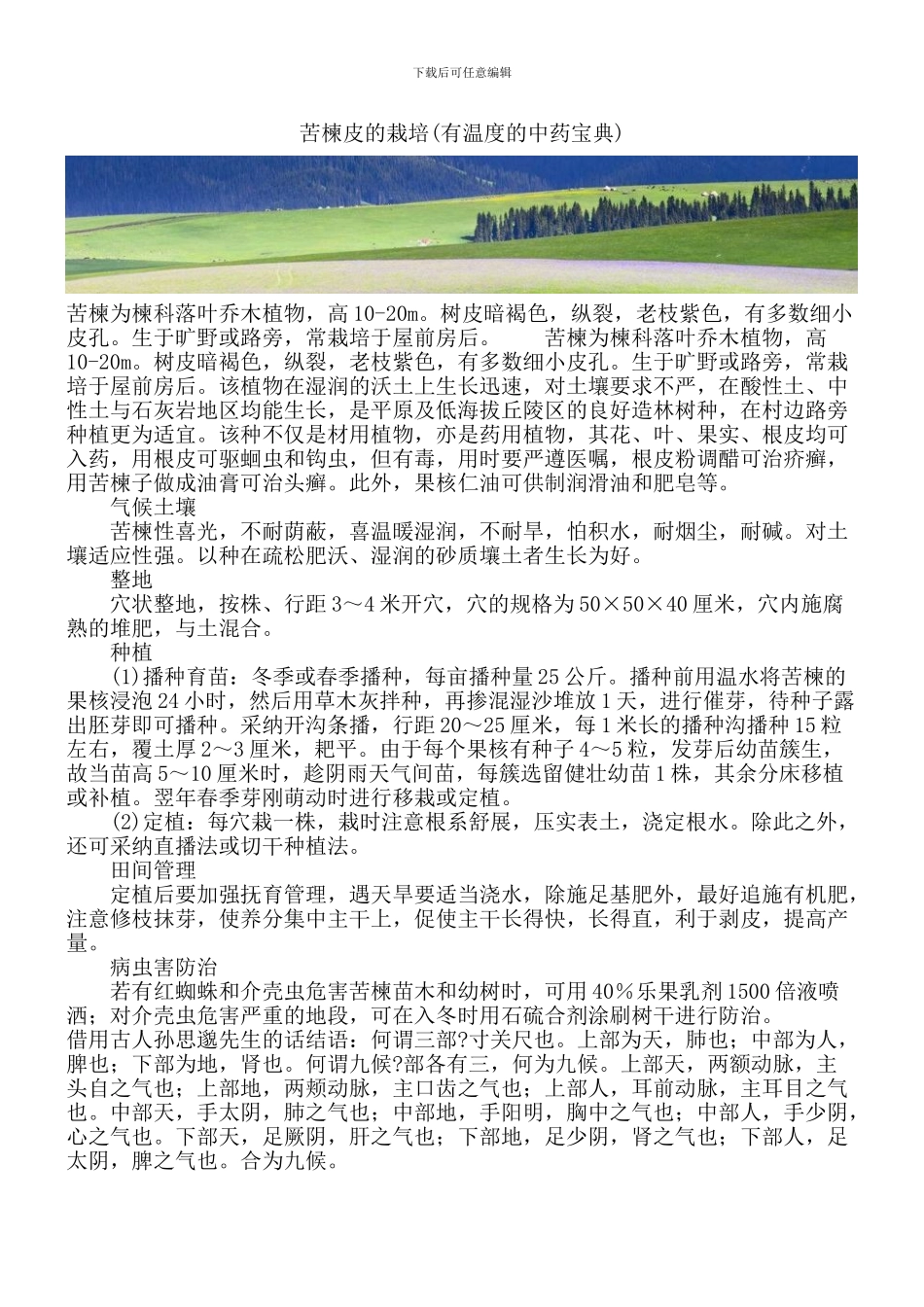 苦楝皮的栽培_第1页