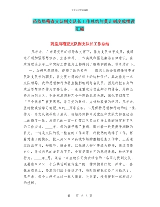 药监局稽查支队副支队长工作总结与莫让制度成摆设汇编