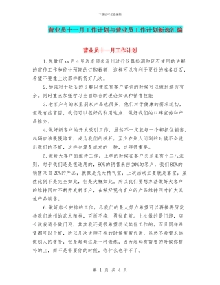 营业员十一月工作计划与营业员工作计划新选汇编