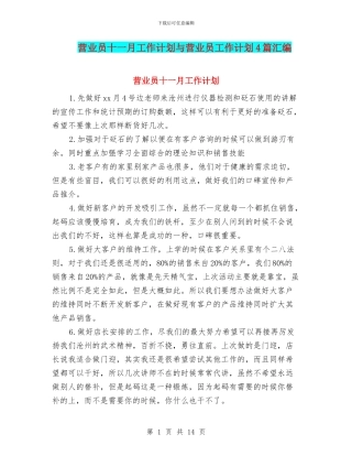 营业员十一月工作计划与营业员工作计划4篇汇编