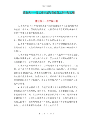营业员十一月工作计划与营业员工作计划汇编
