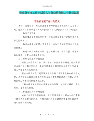 营业员年度工作计划范文与营业员营销工作计划汇编