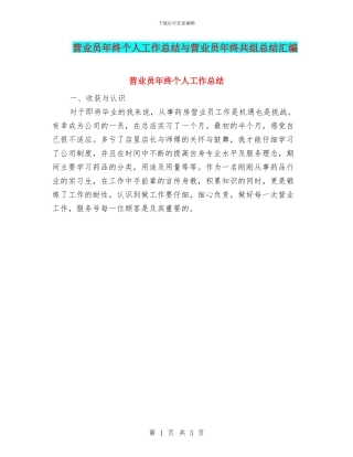 营业员年终个人工作总结与营业员年终共组总结汇编