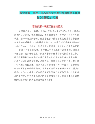 营业员第一季度工作总结范文与营业员试用期工作总结汇编