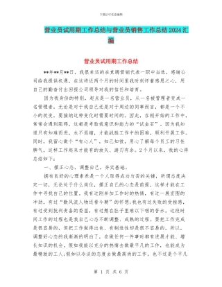 营业员试用期工作总结与营业员销售工作总结2024汇编