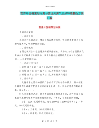 营养片促销策划方案与营造风清气正好环境整改方案汇编