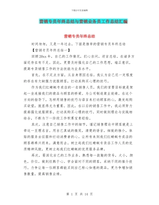 营销专员年终总结与营销业务员工作总结汇编