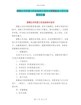 营销公司年度工作总结和计划书与营销副总工作计划报告汇编