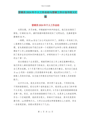 营销员2024年个人工作总结与营销工作计划书范文汇编