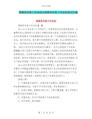 营销员年度工作总结与营销员年终工作总结范文汇编