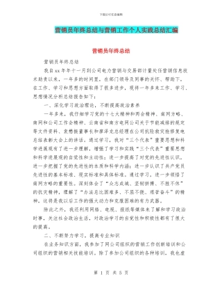 营销员年终总结与营销工作个人实践总结汇编