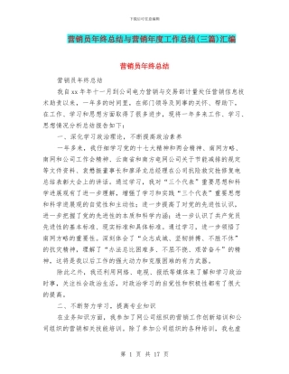 营销员年终总结与营销年度工作总结汇编