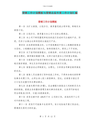 营销工作计划模板与营销总监年度工作计划汇编