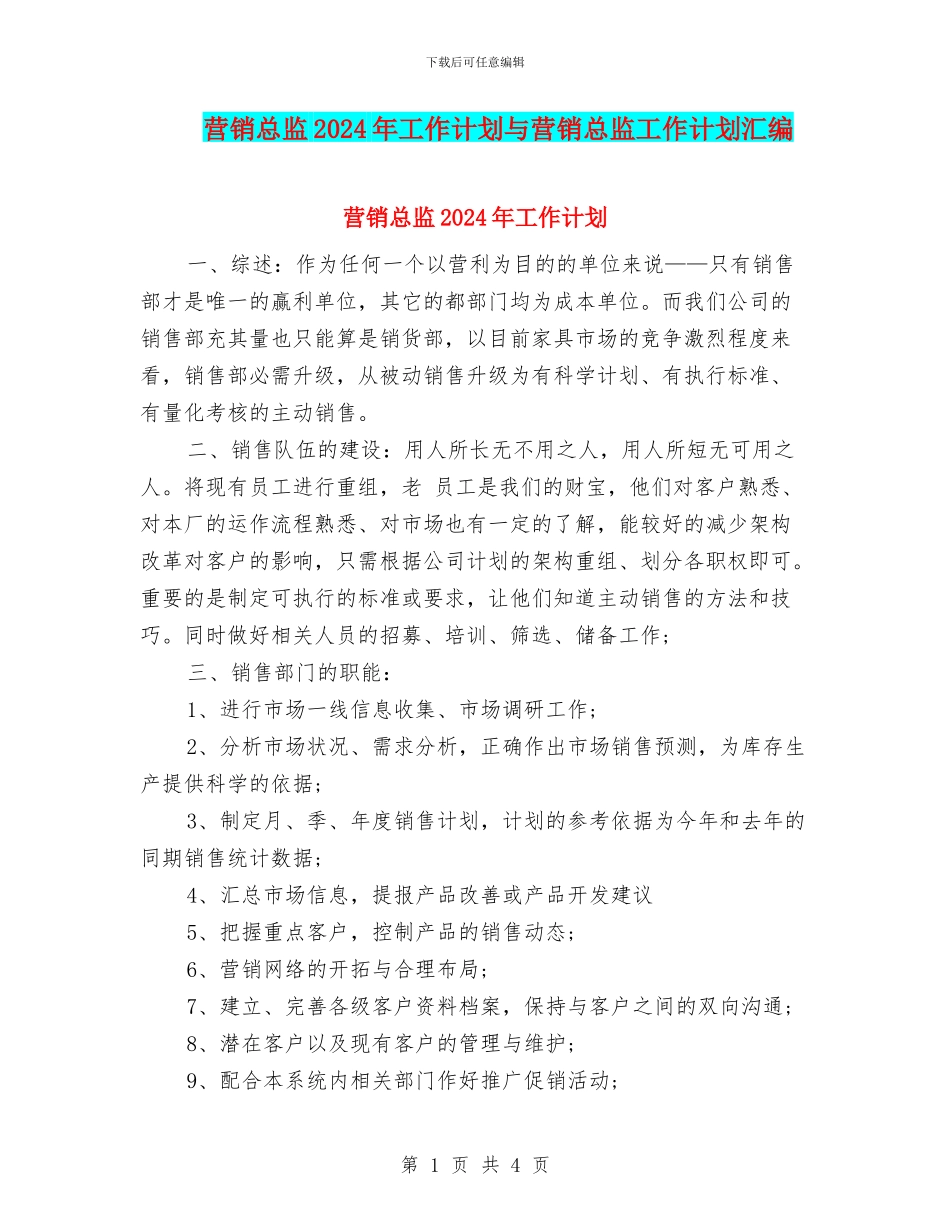 营销总监2024年工作计划与营销总监工作计划汇编_第1页