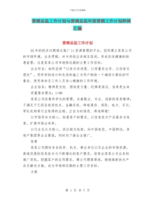 营销总监工作计划与营销总监年度营销工作计划样例汇编