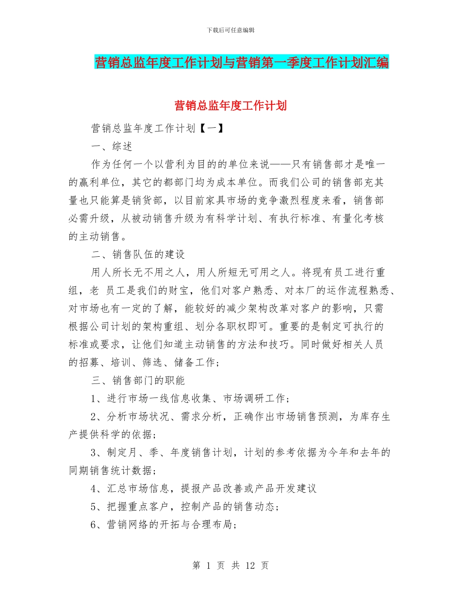营销总监年度工作计划与营销第一季度工作计划汇编_第1页