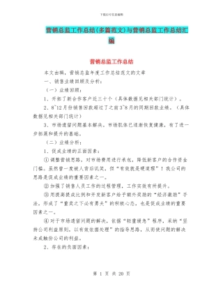 营销总监工作总结与营销总监工作总结汇编