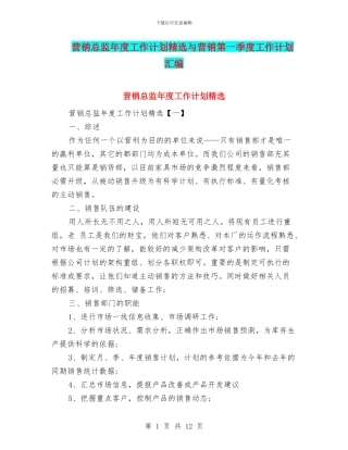 营销总监年度工作计划精选与营销第一季度工作计划汇编