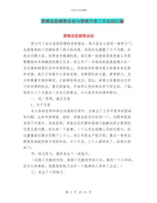 营销总监销售总结与营销月度工作总结汇编