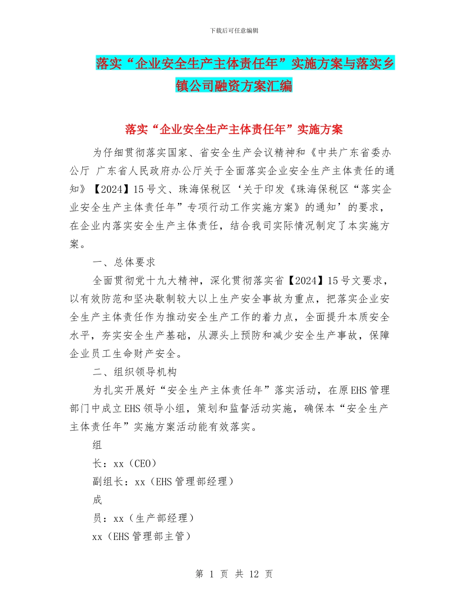 落实“企业安全生产主体责任年”实施方案与落实乡镇公司融资方案汇编_第1页