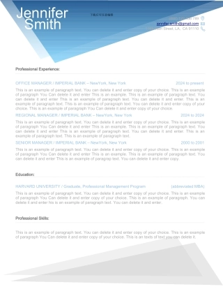 蓝色欧美范个性简历100040