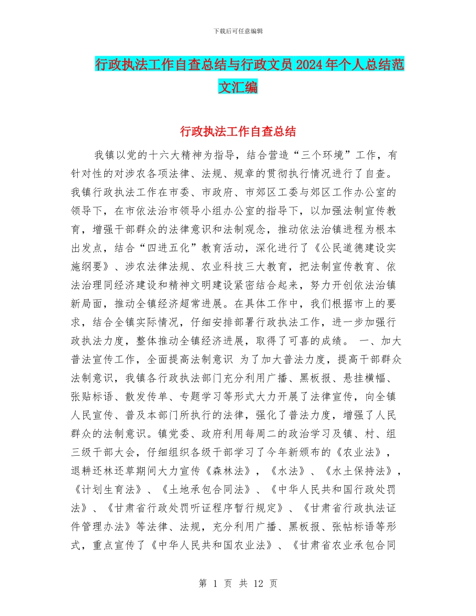 行政执法工作自查总结与行政文员2024年个人总结范文汇编_第1页