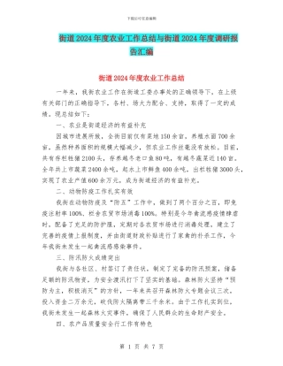 街道2024年度农业工作总结与街道2024年度调研报告汇编