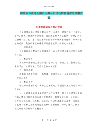 街道办环境综合整治方案与街道动物疫情应急预案汇编