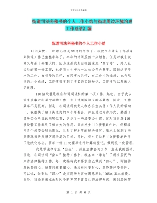街道司法科秘书的个人工作小结与街道周边环境治理工作总结汇编