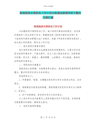 街道地质灾害防治工作计划与街道处级领导班子整改方案汇编