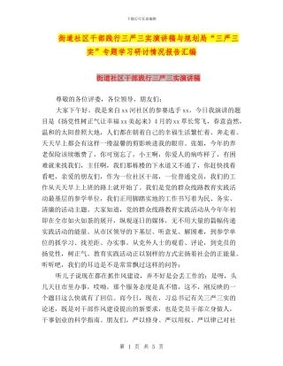 街道社区干部践行三严三实演讲稿与规划局“三严三实”专题学习研讨情况报告汇编