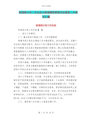 街道统计的工作总结与街道绩效管理目标督查工作意见汇编