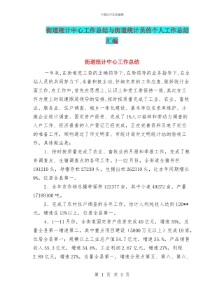 街道统计中心工作总结与街道统计员的个人工作总结汇编