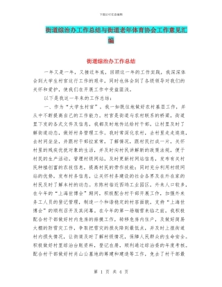 街道综治办工作总结与街道老年体育协会工作意见汇编