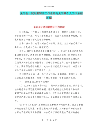 见习会计试用期转正工作总结与见习期个人工作总结汇编