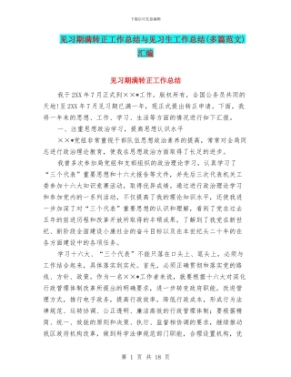 见习期满转正工作总结与见习生工作总结汇编